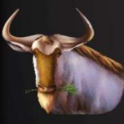 Buffalo symbol in Wild Herd slot