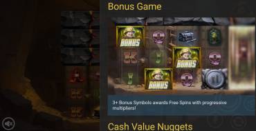 Canyon Riches: Bonus games