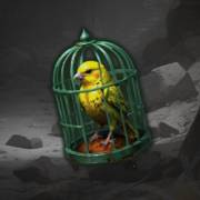Canyon Riches: Bird