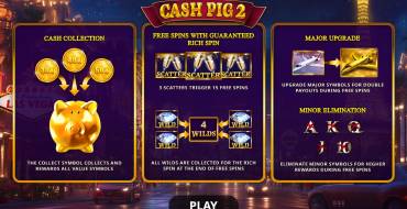 Cash Pig 2: Unique features