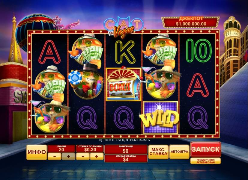 Cat in Vegas slot