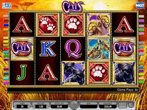 Cats slot