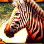 Zebra symbol in African Luck slot