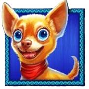 Chilli Heat Spicy Spins: Doggie