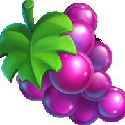 City Pop Hawaii: Grapes