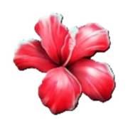 Club Tropicana — Happy Hour: Flower