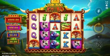 Coin Rush Rhino Running Wins: Prize round