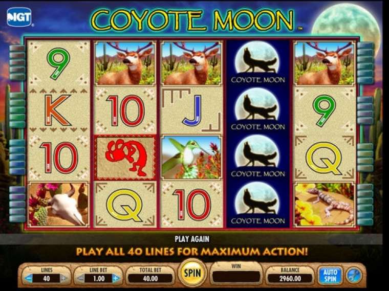 Play Coyote Moon slot CA