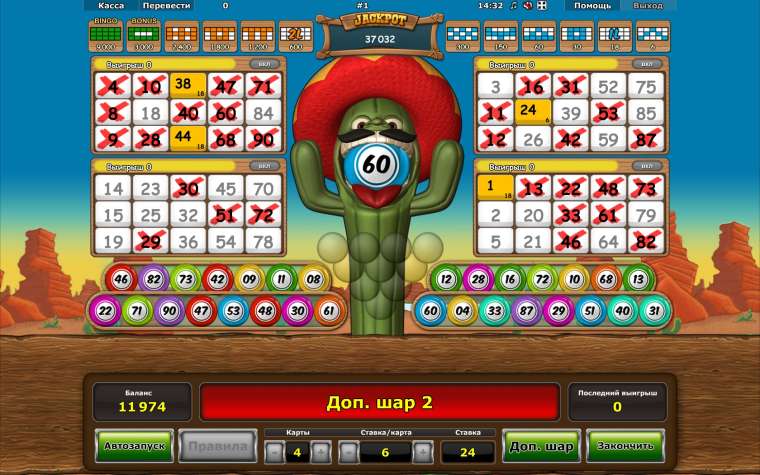 Play Crazy Cactus Bingo slot CA