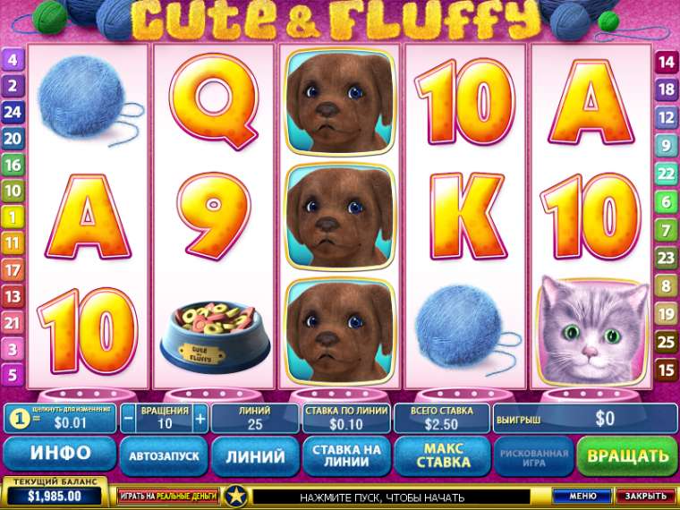 Play Cute and Fluffy slot CA