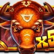 Wild X5 symbol in Wild Bison Charge slot
