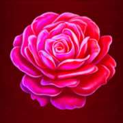 Rose symbol in Golden Beauty slot