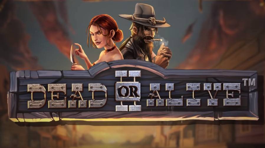 Dead or Alive 2 slot
