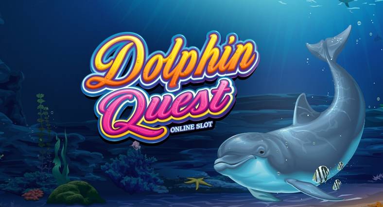 Dolphin Quest slot