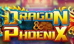 Play Dragon vs Phoenix