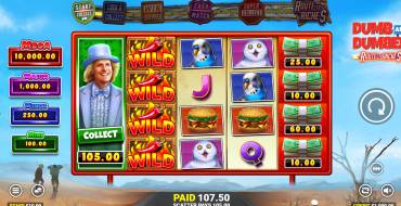 Dumb and Dumber Route to Riches: Winnings