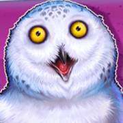 Dumb and Dumber Route to Riches: Owl