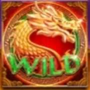 Wild symbol in Dragon Warrior slot