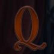 Q symbol in The Twin Wins Mystery slot
