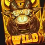 Wild symbol in Bison Battle slot