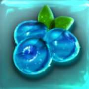 Blueberry symbol in Diamond Fruits slot