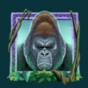 Gorilla symbol in Gorilla Riches slot
