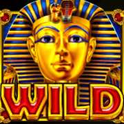 Wild symbol in Pyramid King slot