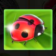 Ladybug symbol in Fortune Teller's Charm 6 slot