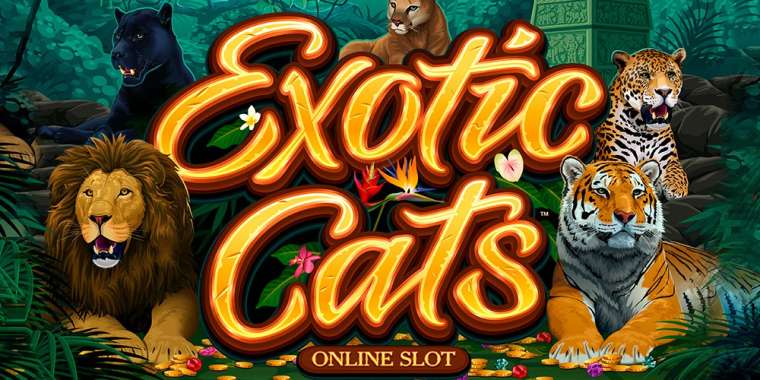 Play Exotic Cats slot CA