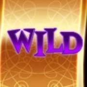 Wild symbol in AbbaCatDabra slot