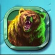 Bear symbol in Razortooth slot