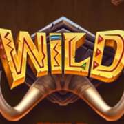 Wild symbol in Safari of Wealth slot
