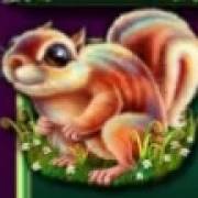 Forest Guardian: Squirrel