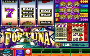 Fortuna slot