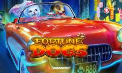 Play Fortune Dogs