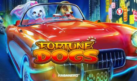 Fortune Dogs by Habanero CA