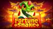 Fortune Snake (logo)