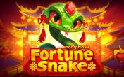 Fortune Snake (logo)