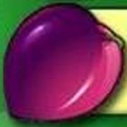 Fruit Fiesta 5 Reel - Progressive: Plum