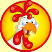 Funky Chicken: Scatter