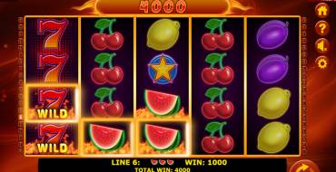 Hot Fruits 40: Winnings