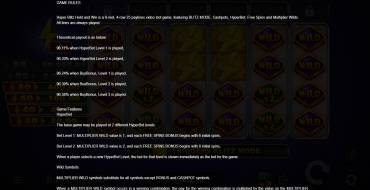 Hyper Blitz Hold and Win: Rules