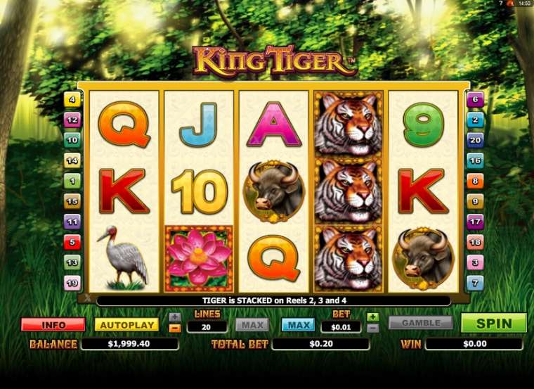 Play King Tiger slot CA
