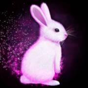 Lady of Magic: Hare