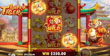 Lucky Tiger: Winnings