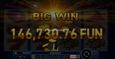 Magic Fruits 81: Winnings