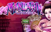 Mandarin Orchid (logo)