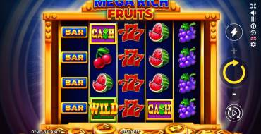 Mega Rich Fruits: Interface