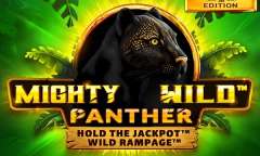 Play Mighty Wild Panther Grand Gold Edition