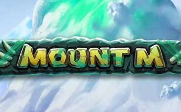 Mount M slot